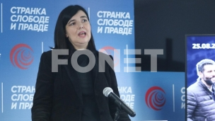 Rešenje u tehničkom pregledu